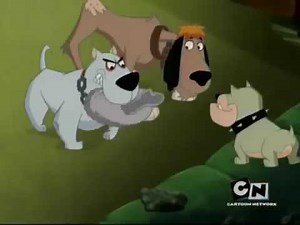 Krypto The Superdog - Streaky vs The Dogs and Streaky Saves The Dogs