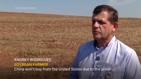 Brazilian farmers beef up soybeans production as China halts business with U.S. amid tariff hike