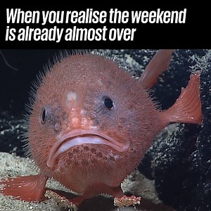 Where does the time go? 😭 | UNILAD