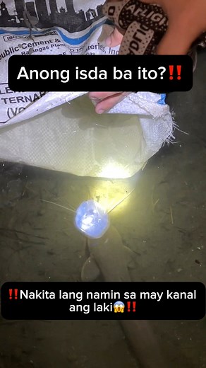 Grabi first time ko makakita nito subrang laki!😖 #fblifestyle | MStrikeback