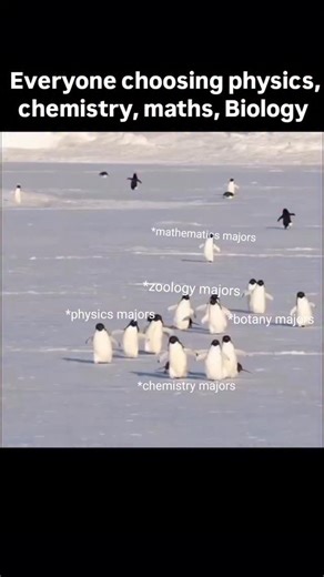 GEOLOGY HUB on Instagram: "Geologist in a world full of physicists, chemists, mathematicians and biologists ✌️⚒️ #geologyrocks #geologymemes #geoscience #earthscience #geology_hub"