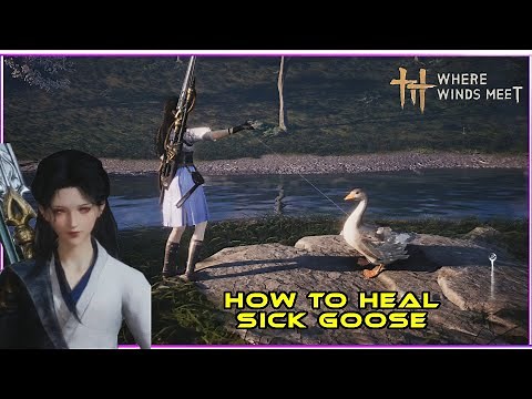 How To Heal Sick Goose In Where Winds Meet Heal Or Not Duck Goose Caregiver