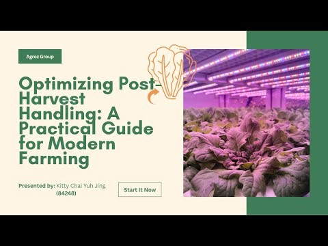 Optimizing Post-Harvest Handling: A Practical Guide for Modern Farming