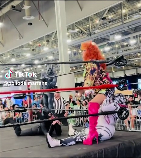 Why Is Catwoman Loving My Stink-Face on Spider-Person So Much?!! #prowrestlingfan #indiewrestling #pollodelmar #professionalwrestling #prowrestlingtiktok #prowrestler #prowrestlingmanager #prowrestlingvideos #dragqueensoftiktok #dragqueen #dragqueens #prowrestlers #wrestling #wrestlingfan #wrestlingfans #wrestlingfansoftiktok #lgbt🌈 #lgbtq #catwomancosplay #catwoman