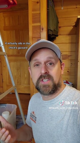 Raising Baby Chicks with Grit: Taking Care of Newborn Chickens