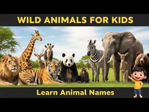 Wild Animals for Kids | Learn Animal Names | Fun Safari | Kids Learning Video