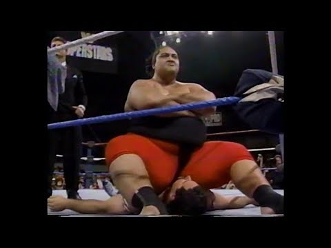 WWF Wrestling March 1993