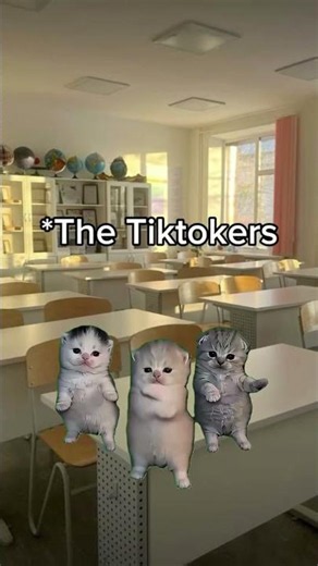 different types of classmates be like #funny #relatable #memes #lol #catmeme #fyp #viral #new #usa