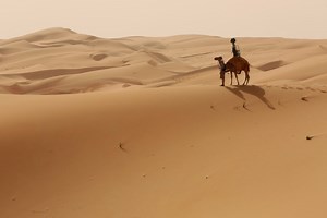 Google mapped out an Arabian desert in Street View using camels