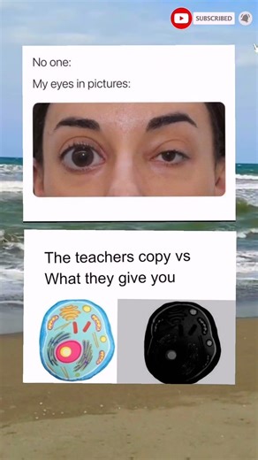 funny memes 😂👍🏿#shorts