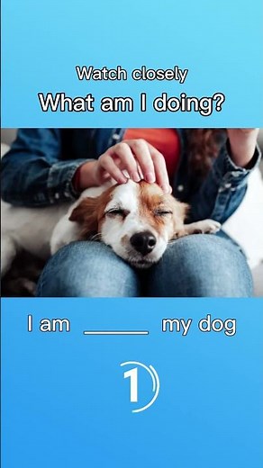 Everyday English Sentences – What Am I Doing? (Fun Verb Practice)