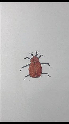 How To Draw Insect For Kids #kids art
