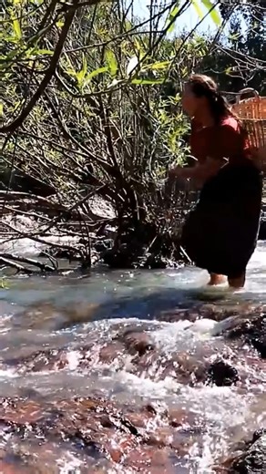 Woman pick giant snail in the sea for dogs #survival #hunting #fishing #doglover #dog | Uncle Bee Recipe