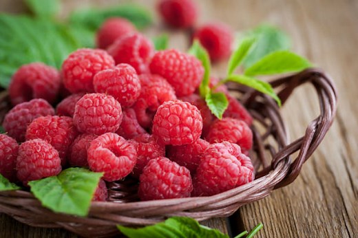 Can Dogs Eat Raspberries? Yes, But There Is a Catch