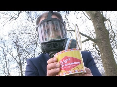 Surströmming: tasting the smelliest fish in the world