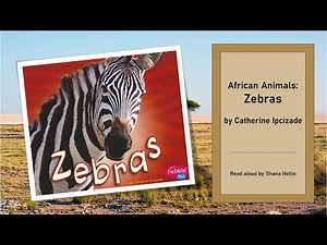 African Animals: Zebras (Pebble Plus)