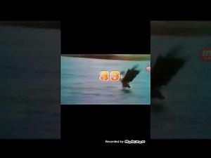 Videoke Score Fanare Score HDT Platinum Player