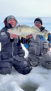 What Greenback Walleye dreams are made of!! Just a few weeks left to chase these legendary walleyes on Lake Winnipeg! Click the link below to learn everything you need to know about catching these emerald beauties! https://huntfishmanitoba.ca/blog/greenback-frenzy/ #HuntFishMB #Manitoba #IceFishMB #LakeWinnipeg #Greenback #GreenbackWalleye #Walleye #IceFishing #Fishing | Fishing & Hunting in Manitoba