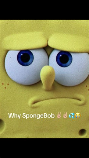 Whyyyyy | sponge bob