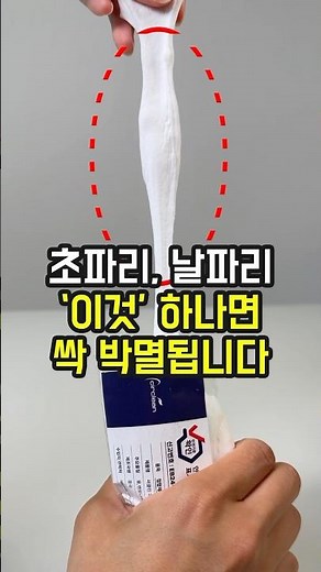 지긋지긋한 여름철 초파리 '이 것' 하나면 싹 다 퇴치된다! 초파리 없애는 법 꿀팁!