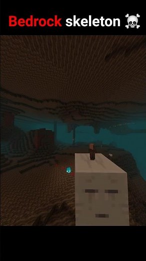 Java or Bedrock? #minecraft