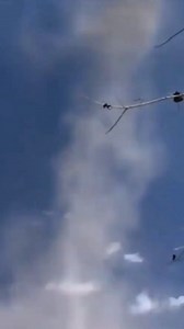 3.8K views · 234 reactions | Portal Cósmico 刺 Sabes lo que es un Portal Interdimensional?  O que imaginas que es? 樂 . . . #chichenitzá #piramidechichenitza #portalcosmico #puertainterdimensional #agujerodegusano #puertahaciaotradimension #viajeenletiempo #viajerosdeltiempo #fenomenos #fenomenosextraños #postalesdemexico #reelsmexico #viajaresvivir #donsoberanis | Acapulquito.Tv | Facebook