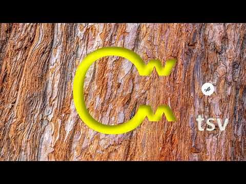 Sequoyah's big invention – The Cherokee syllabary