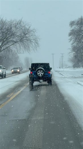 ❄️We have a decent amount of snow falling in Chelsea, MI this afternoon! | Live Storm Chasers