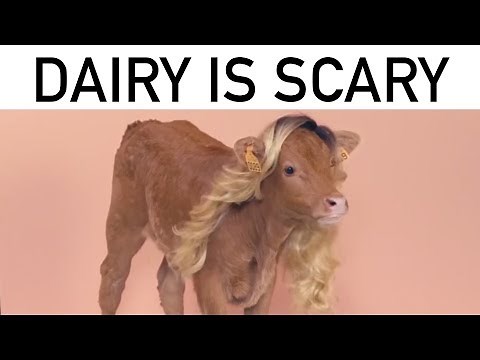 DAIRY IS SCARY