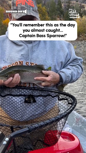 Fish had moves! 😂💥🐟 (Via - Neil A.) #Fish #Funny #Fails #Nature | The Pet Collective