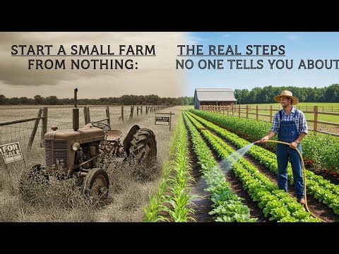 Start a Small Farm From Nothing: The Real Steps No One Tells You About