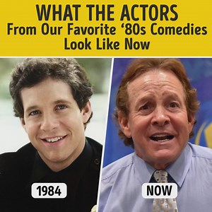 1.4M views · 10K reactions | What the actors from our favorite ‘80s comedies look like now | Bright Side | Facebook