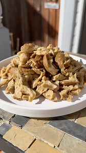 VEGAN SEITAN CHIK’N 🔥🔥 (FULL RECIPE IN COMMENTS) Ok, so this seitan recipe is just DOWNRIGHT RIDICULOUS. But before we get into that, let’s talk about how many times I’ve tried and failed to make good-tasting seitan. In most cases, I’ve tried to make it with vital wheat gluten flour. There’s something about vital wheat gluten in flour form that does NOT taste right to me. The texture is like a soft, rubbery sponge. It just ain’t right. Only recently did I learn about this ✨Washed Flour✨ method