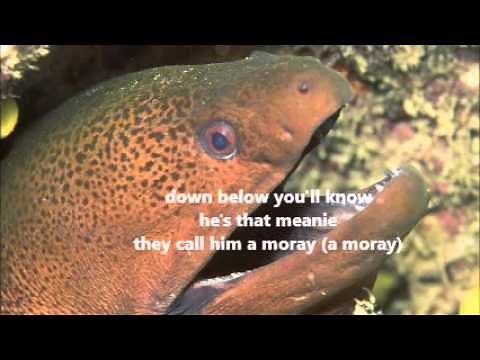 that's a moray lyrics