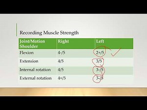 Foundations of Physical Function: Mastering Progressions, Motor Learning, and Movement Strategies