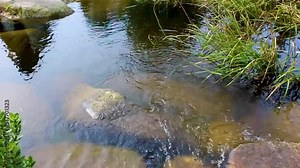 Small waterfall river and stream on Brocken mountain Harz Germany.