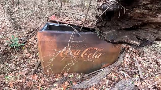 “It’s like a spooky tree” - The strange roadside discovery they couldn’t explain