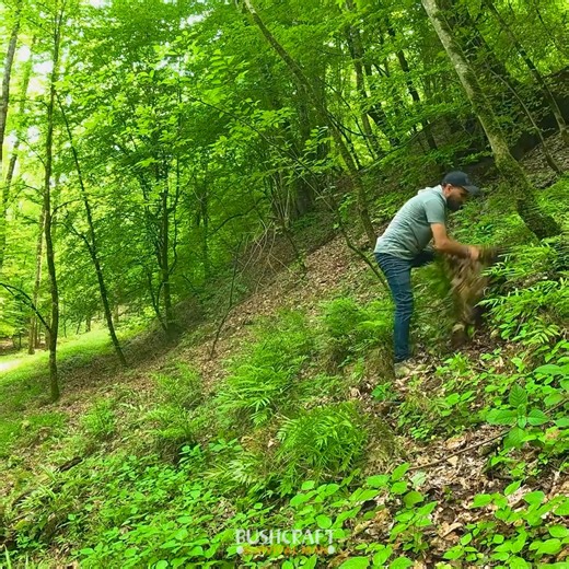 1.1M views · 21K reactions | How to Build a Cozy and Warm Treehouse Cabin in the bush, survival shelter, and clay oven | Bushcraft Survival Man | Facebook