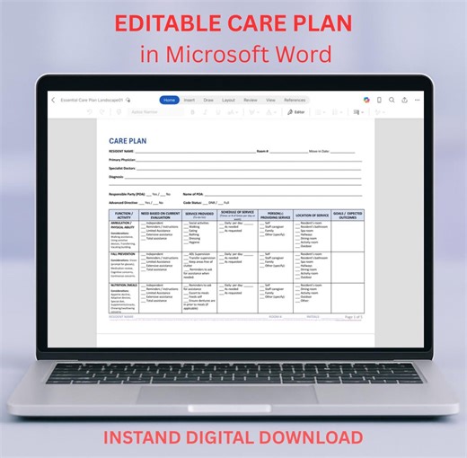 Patient Care Plan, EDITABLE Template: for Nursing Homes, Assisted Living, Senior Centers (microsoft Word) - Etsy