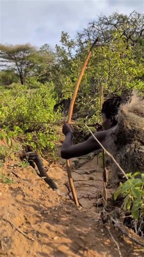 A Luta da Presa Diante do Caçador