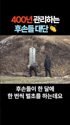 400년 동안 관리한 후손들 대단 👏