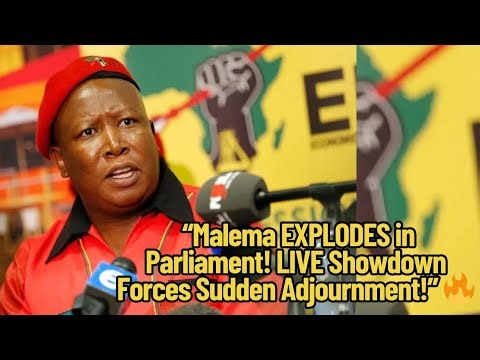 Parliament ERUPTS! Malema Declares WAR After Shocking Live Twist