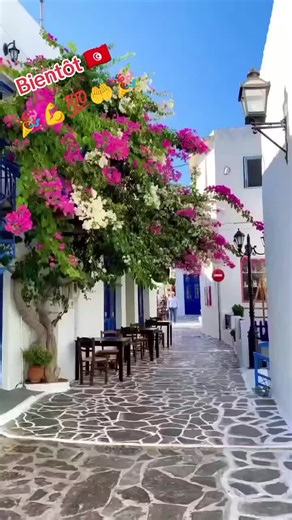 ⚜️Tunican⚜️ (@tunican)’s videos with Sidi Mansour - Instrumental - SAZQA