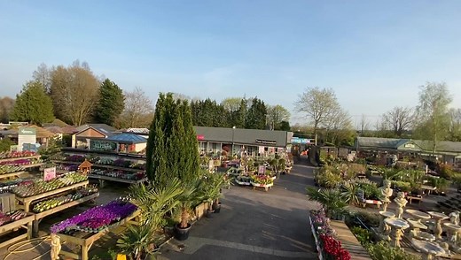 The Lacock plant area looking beautiful tonight in the Spring sun. We have lots of colourful plants available to order via telephone or email: enquiries@whitehallgardencentre.co.uk Online plant orders coming soon!! | Whitehall Garden Centre