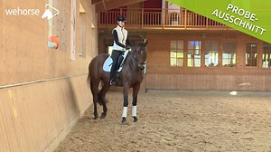 NEU bei wehorse ➡️ Unsere erfahrene Ausbilderin Anja Beran (Classical Equitation by Anja Beran) erklärt dir alles, was du über das Renvers wissen musst. 💡 🎥 https://www.wehorse.com/de/videos/show/553/seitengaenge-richtig-reiten-renvers-anja-beran.html | wehorse