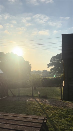 The_sausage_condiments on TikTok