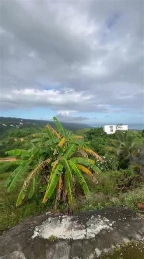Terreno en venta en Hoyo del Cacao, Las Terrenas – US$112,000 🌿