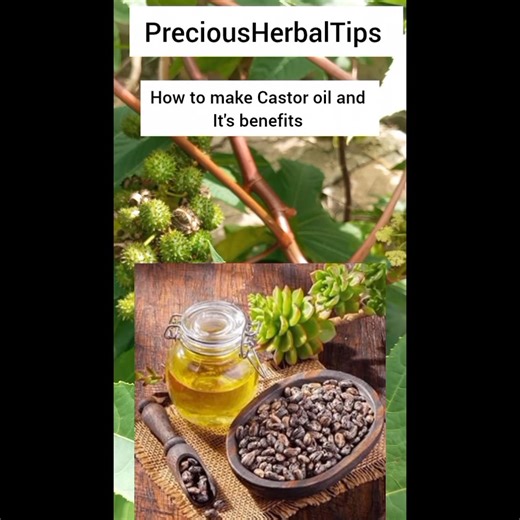 304K views · 9.7K reactions | How to make castor oil and it's health benefits #viralvideoシfyp #viralvideo #followlikeandshareformoreremedies | Zigli Precious | Facebook