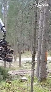 697K views · 4.2K reactions | Technology has come along way... | David W5P3 | Facebook