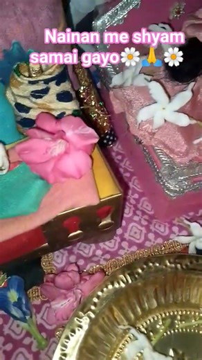 #nainan me shyam samai gayo#🥰#radhe#radhe#radhe bol..🌺shyam bhajan🌺#